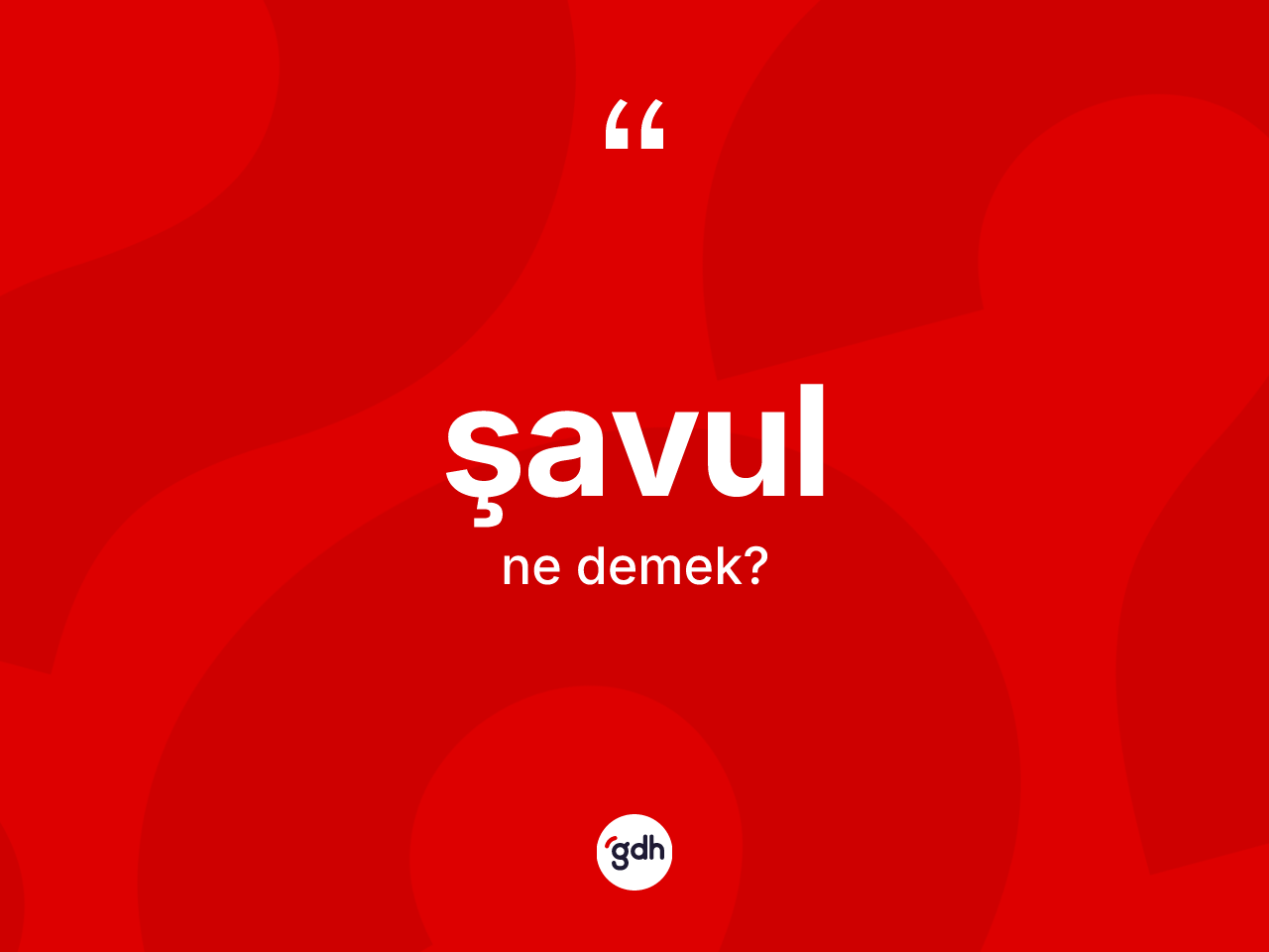 Şavul kelimesinin sözlükteki tanımı nedir? Şavul kelimesinin TDK'ya göre açıklaması nedir?