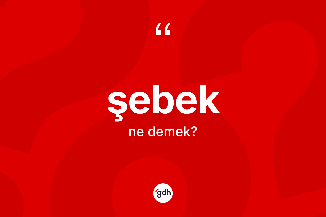 Şebek kelimesinin tanımı nedir? Şebeğin TDK'ya göre anlamı nedir?