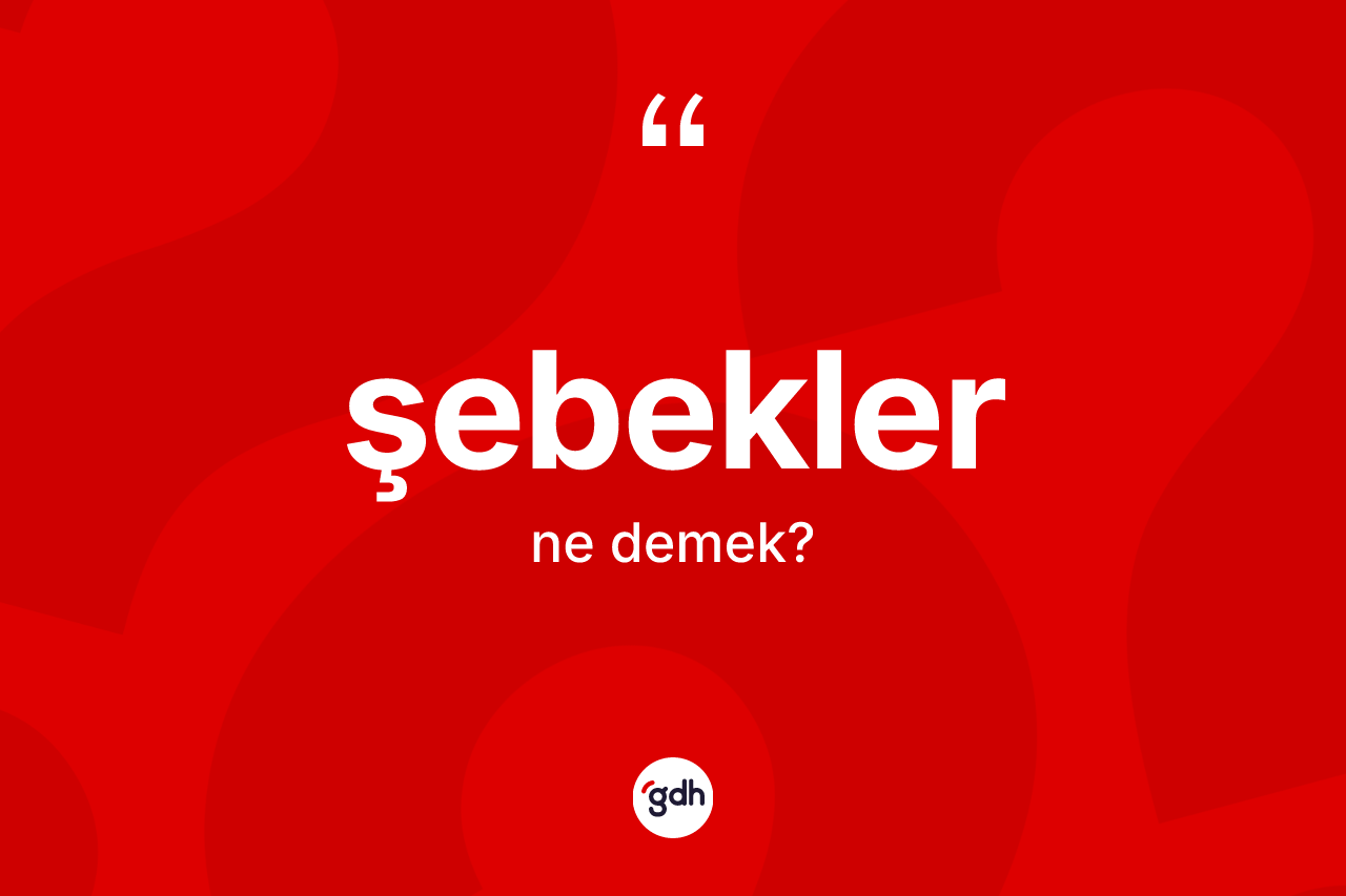 Şebekler kelimesi nedir? Şebeklerin sözlükteki anlamı nedir?