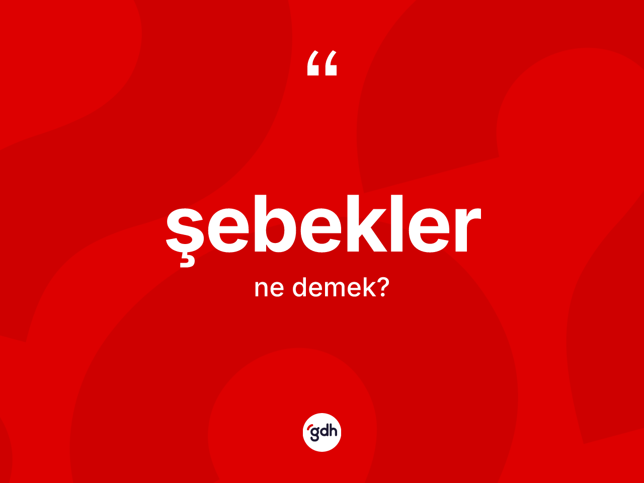 Şebekler kelimesi nedir? Şebeklerin sözlükteki anlamı nedir?