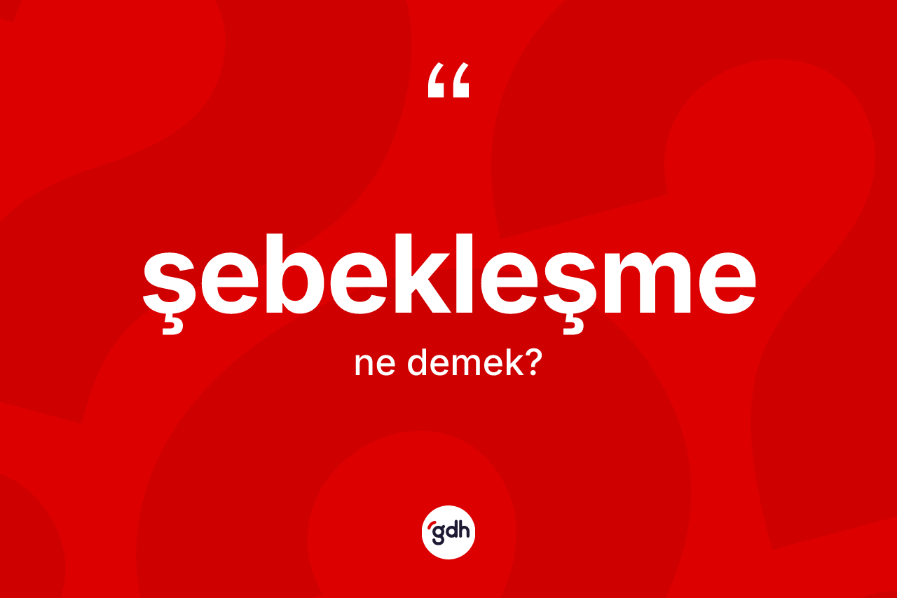 Şebekleşme kelimesi ne demek? Şebekleşmenin TDK'ya göre anlamı nedir?