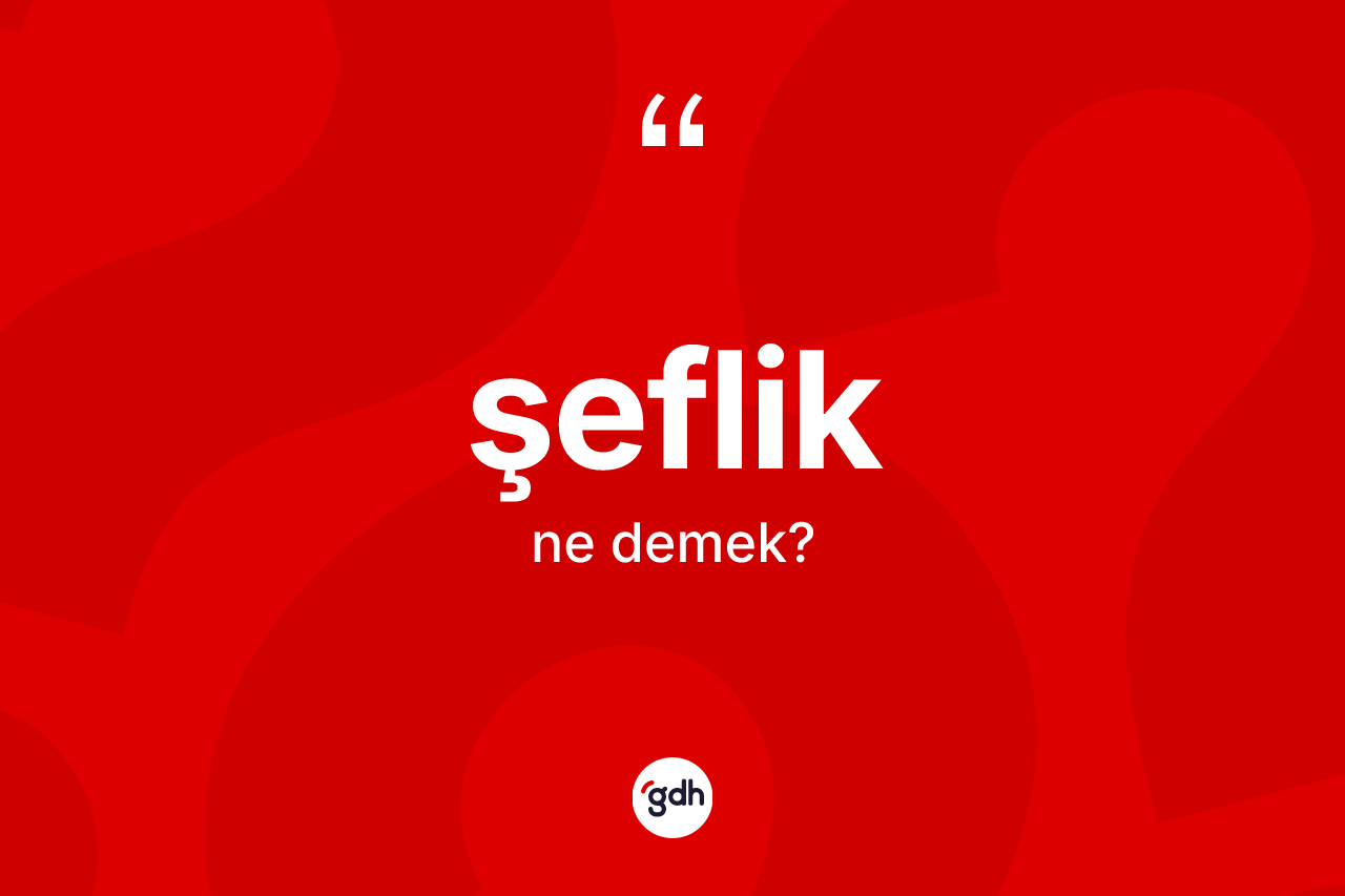 Şeflik kelimesi ne anlama gelir? Şeflik kelimesinin TDK anlamı nedir?