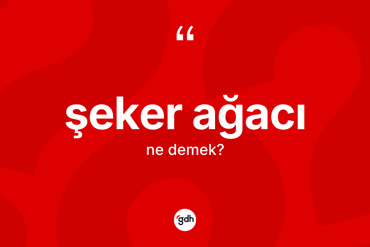 Şeker ağacı kelimesinin anlamı nedir? Şeker ağacının sözlükteki anlamı nedir?