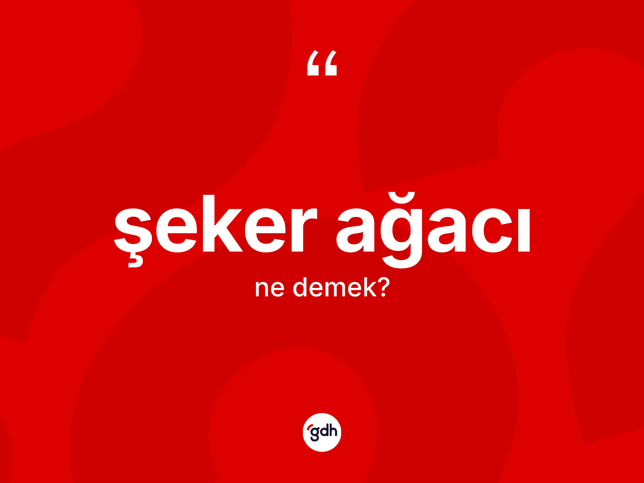 Şeker ağacı kelimesinin anlamı nedir? Şeker ağacının sözlükteki anlamı nedir?