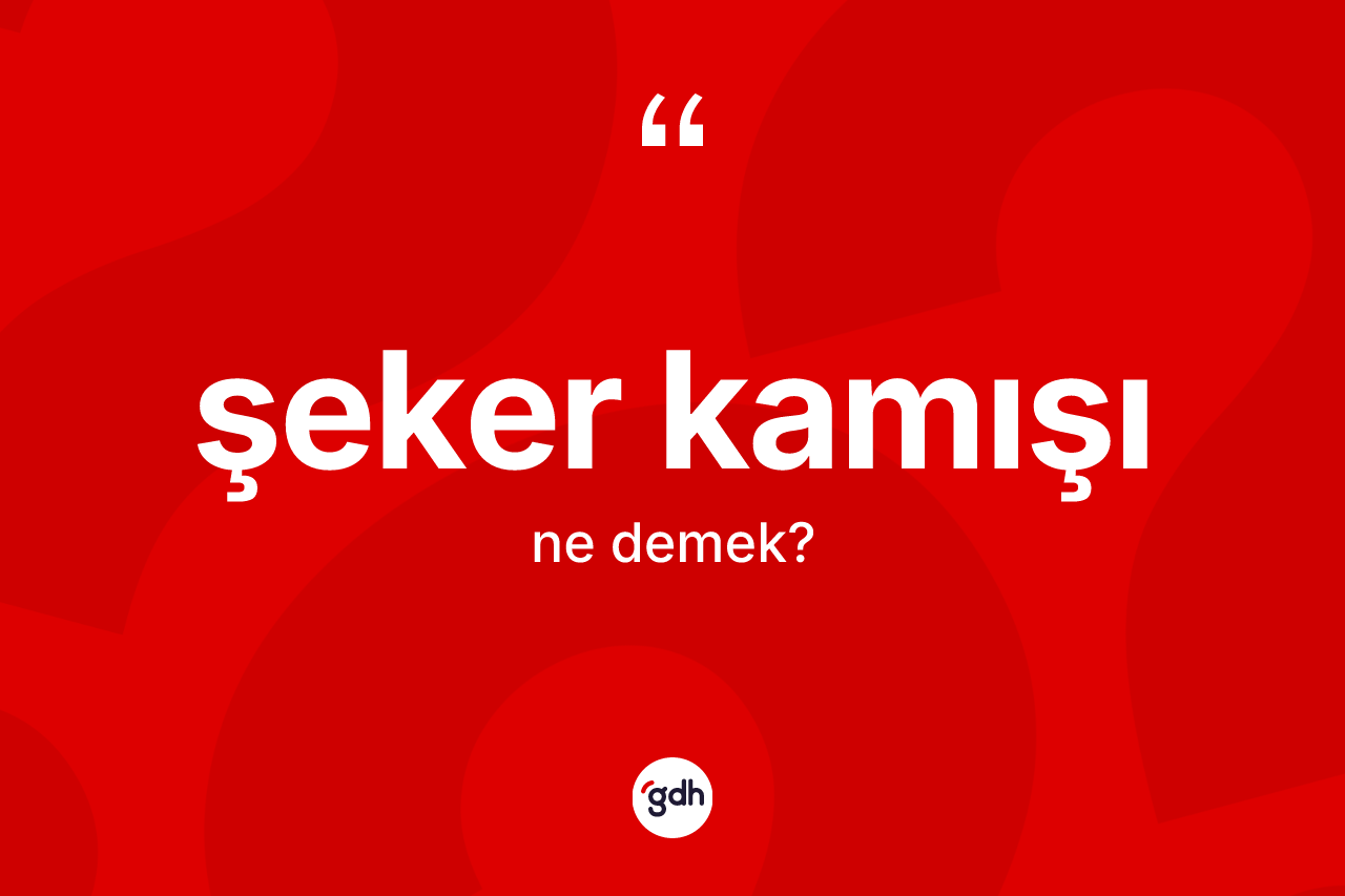 Şeker kamışı kelimesinin tanımı nedir? Şeker kamışı kelimesinin TDK'ya göre açıklaması nedir?