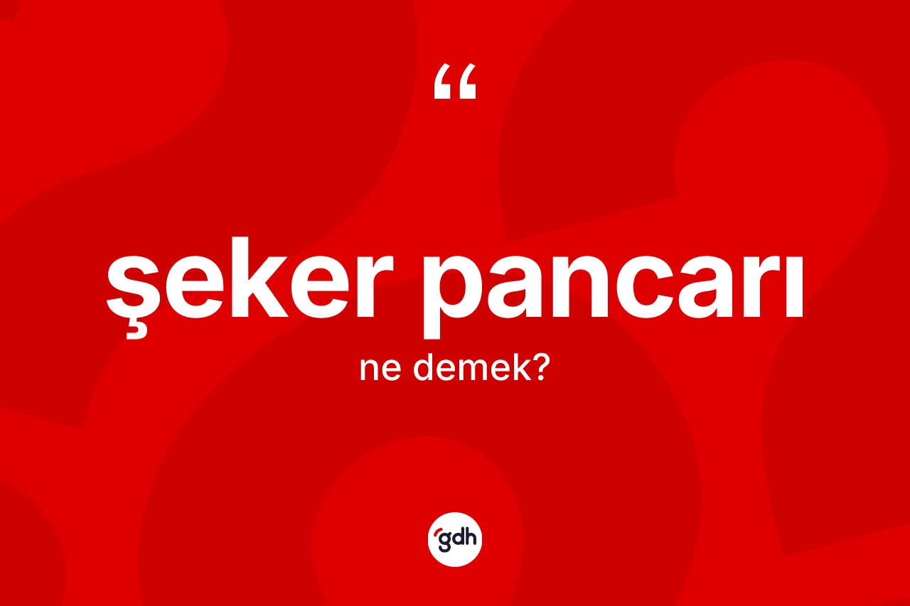 Şeker pancarı kelimesinin sözlükteki tanımı nedir? Şeker pancarının TDK'ya göre anlamı nedir?