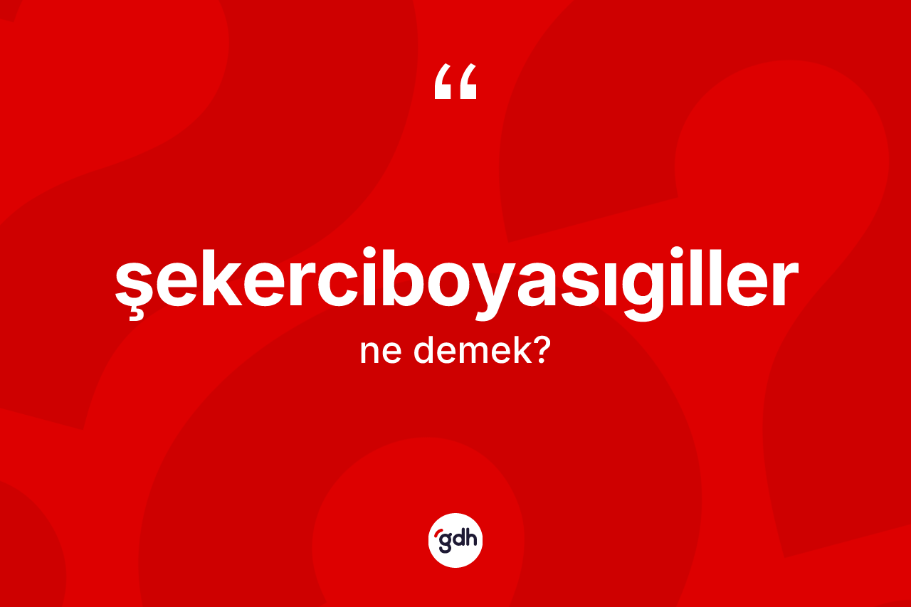 Şekerciboyasıgiller kelimesinin sözlükteki tanımı nedir? Şekerciboyasıgillerin TDK'ya göre anlamı nedir?