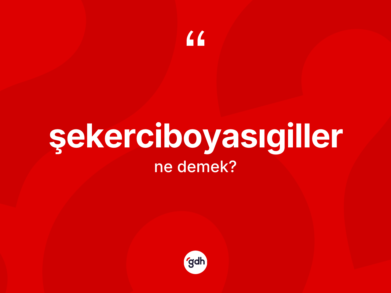 Şekerciboyasıgiller kelimesinin sözlükteki tanımı nedir? Şekerciboyasıgillerin TDK'ya göre anlamı nedir?