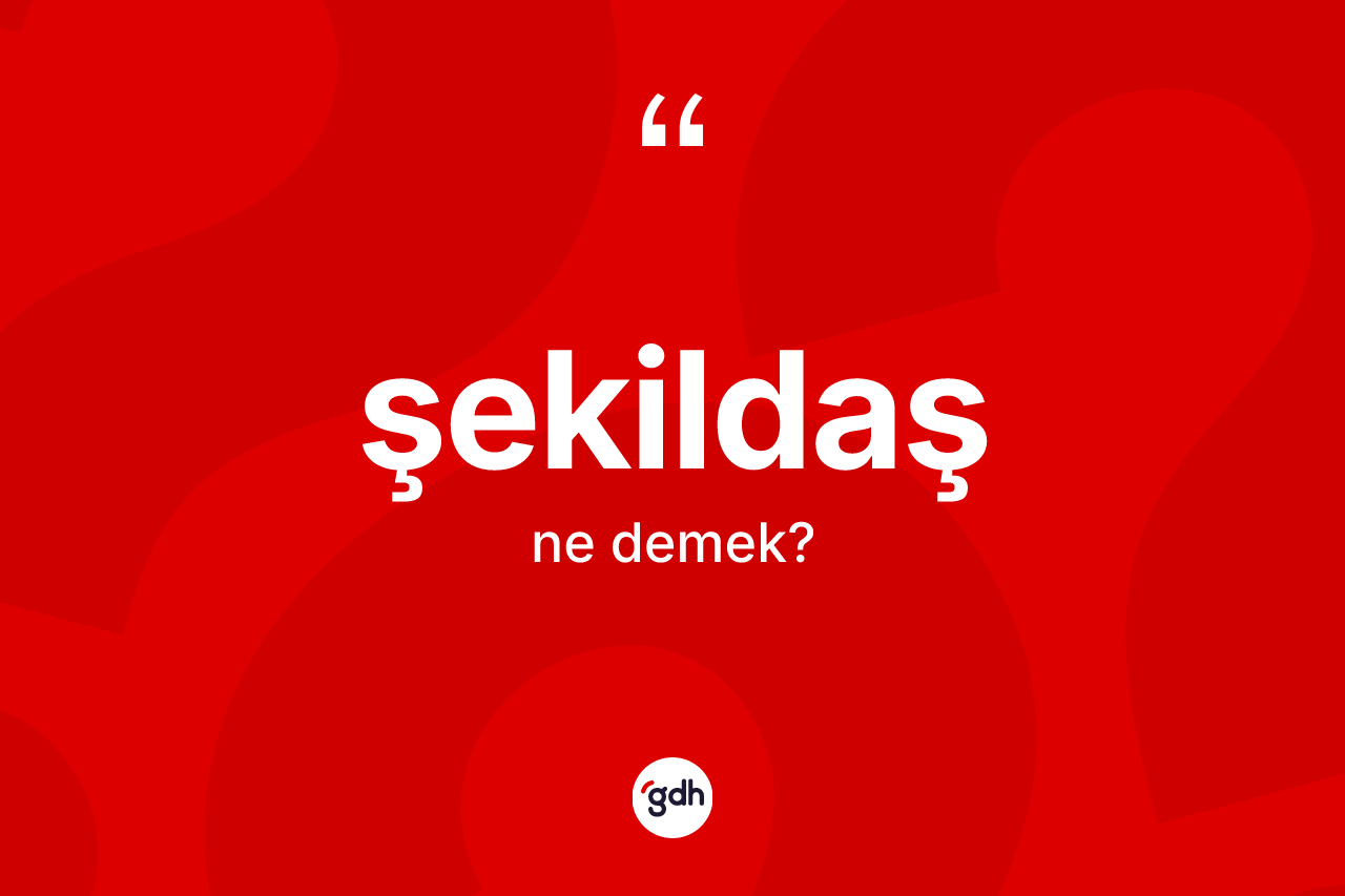 Şekildaş ne anlama gelir? Şekildaşın TDK'ya göre anlamı nedir?