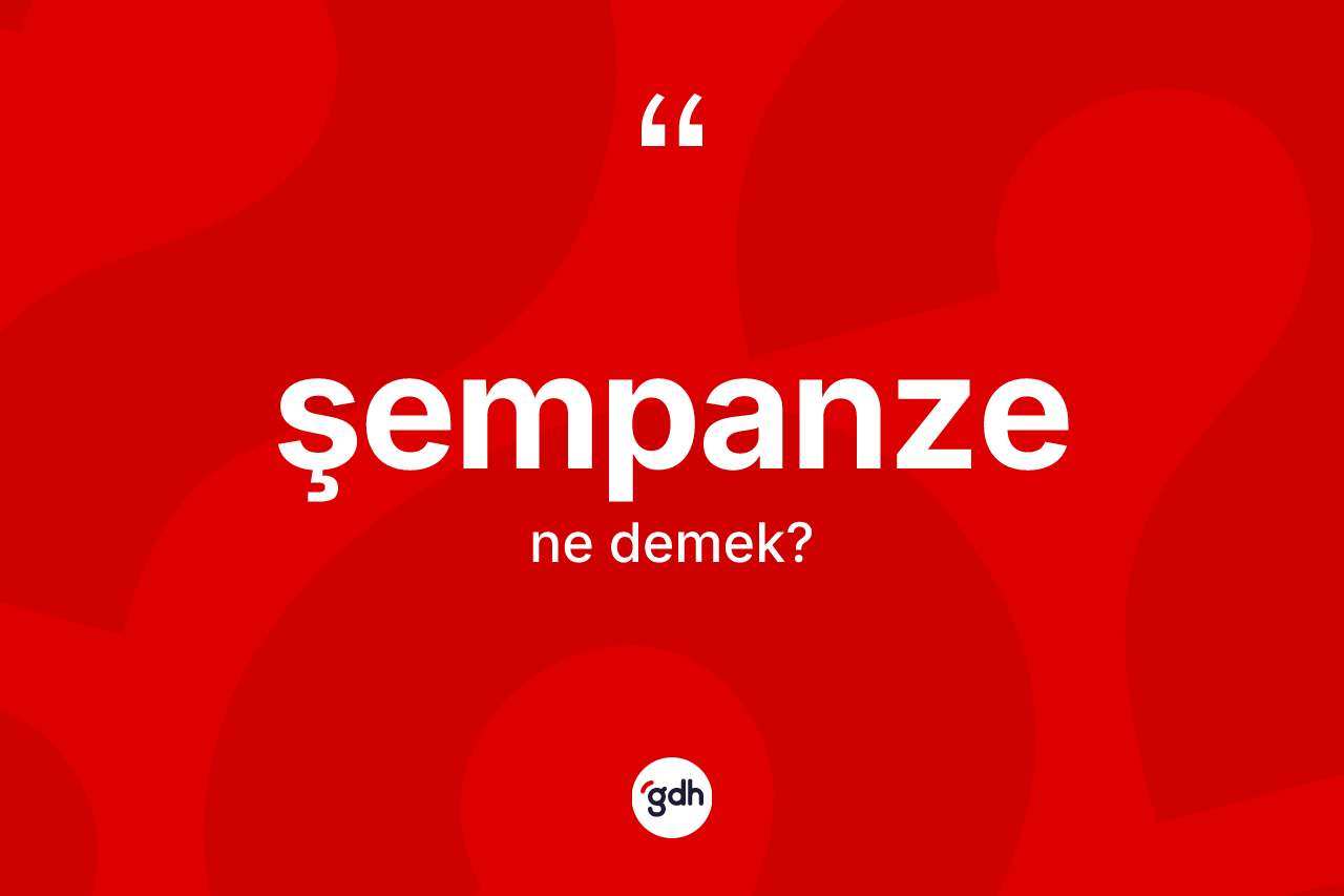 Şempanze kelimesinin tanımı nedir? Şempanze kelimesinin TDK anlamı nedir?