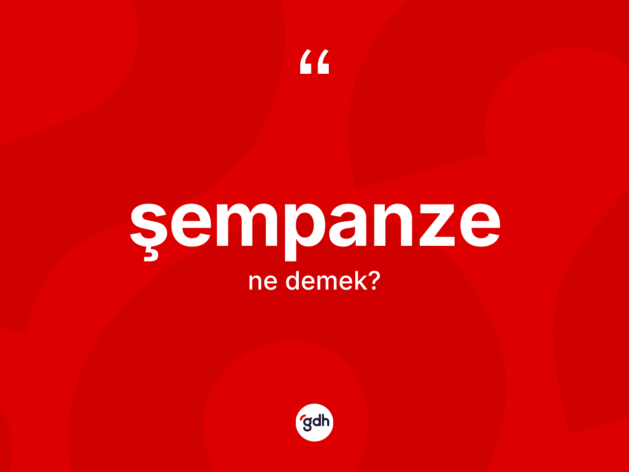 Şempanze kelimesinin tanımı nedir? Şempanze kelimesinin TDK anlamı nedir?