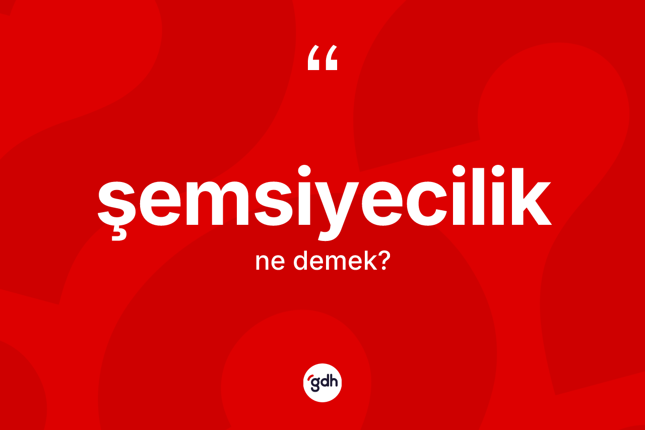 Şemsiyecilik kelimesi nedir? Şemsiyecilik kelimesinin kaç farklı anlamı var?