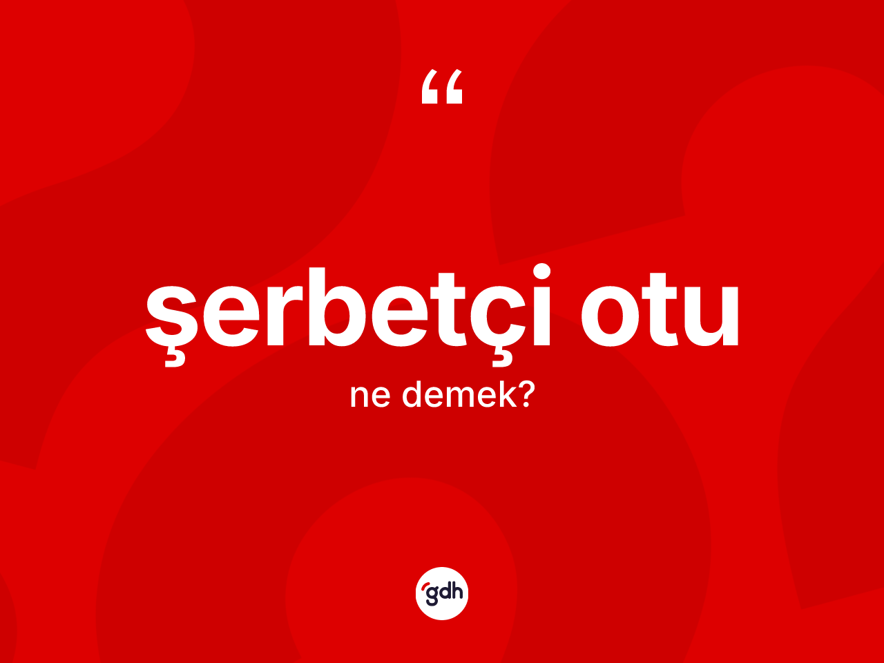 Şerbetçi otu kelimesi ne demek? Şerbetçi otunun halk arasındaki kullanımı nasıldır?