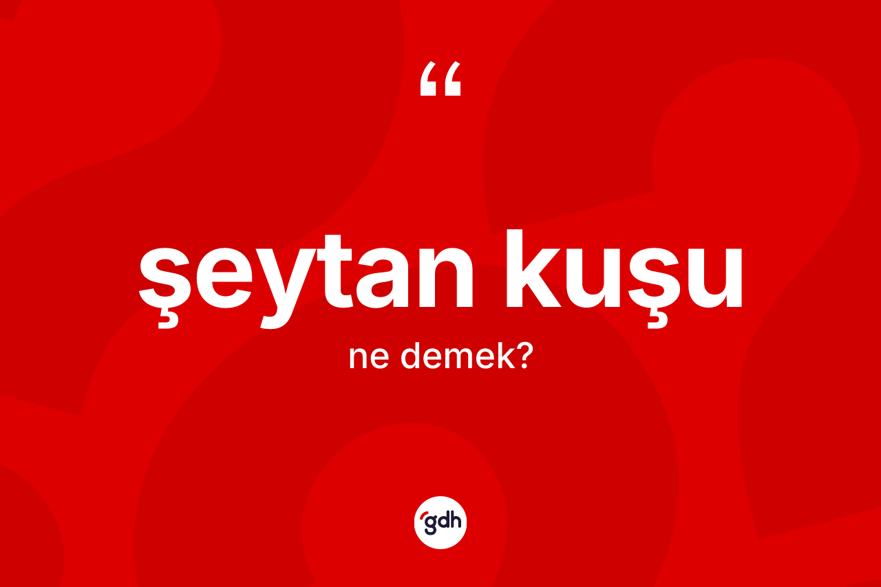 Şeytan kuşu ne anlama gelir? Şeytan kuşunun TDK'ya göre anlamı nedir?