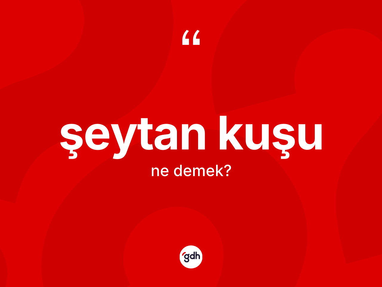 Şeytan kuşu ne anlama gelir? Şeytan kuşunun TDK'ya göre anlamı nedir?