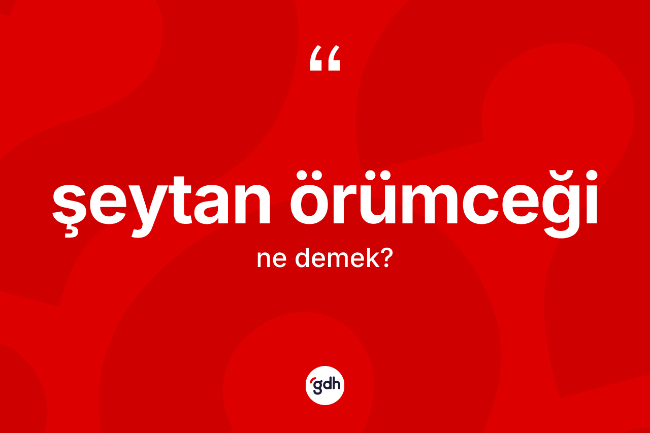 Şeytan örümceği ne demek? Şeytan örümceğinin halk arasındaki kullanımı nasıldır?