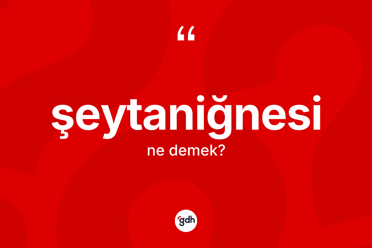 Şeytaniğnesi kelimesinin tanımı nedir? Şeytaniğnesinin TDK'ya göre anlamı nedir?