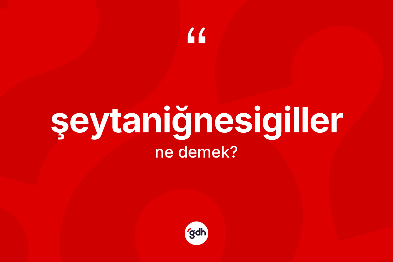 Şeytaniğnesigiller nedir? Şeytaniğnesigillerin TDK'ya göre anlamı nedir?