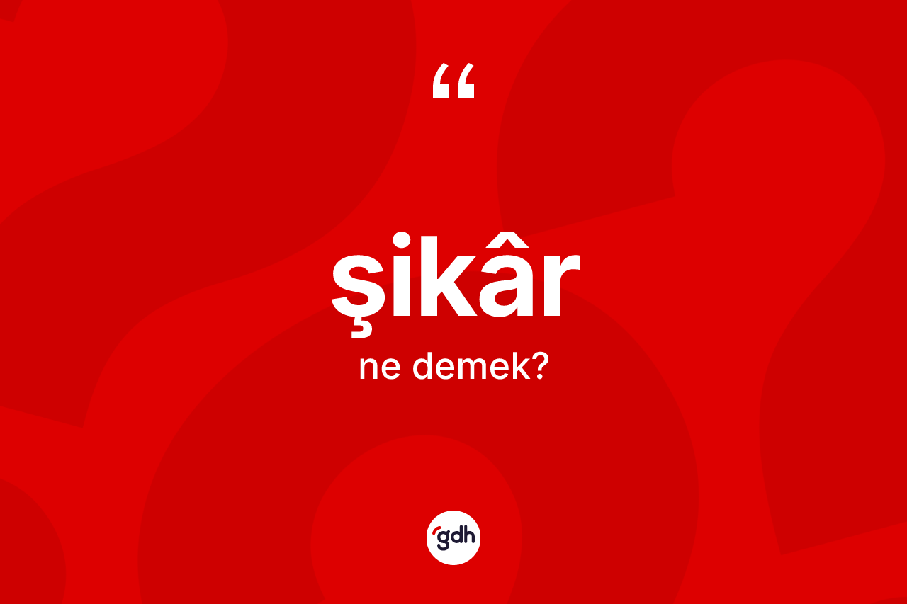 Şikâr nedir? Şikâr kelimesinin kaç farklı anlamı var?