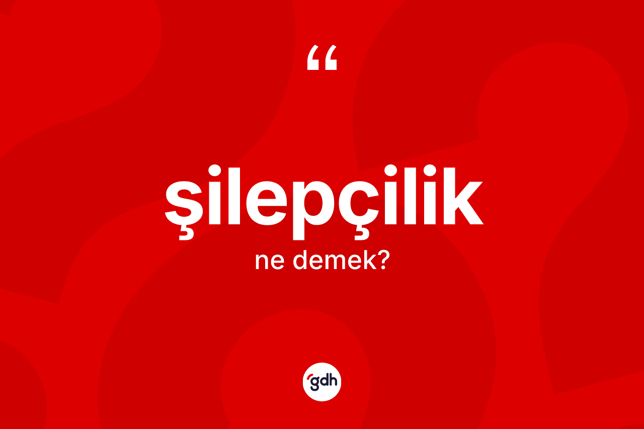 Şilepçilik kelimesinin anlamı nedir? Şilepçiliğin sözlükteki anlamı nedir?