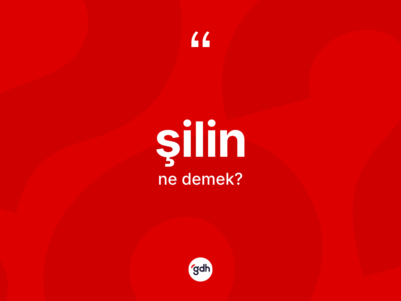 Şilin kelimesinin tanımı nedir? Şilinin TDK'ya göre anlamı nedir?