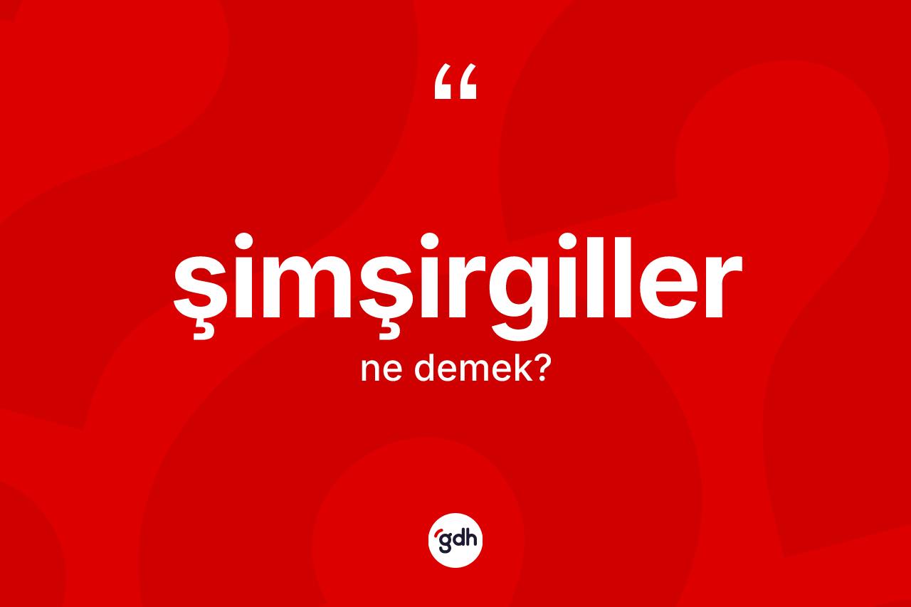 Şimşirgiller nedir? Şimşirgiller kelimesinin özellikleri nelerdir?