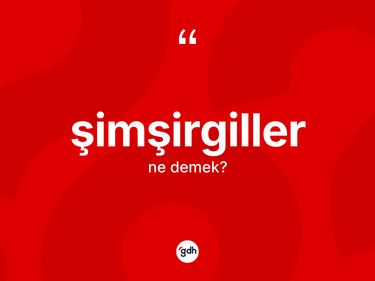 Şimşirgiller nedir? Şimşirgiller kelimesinin özellikleri nelerdir?