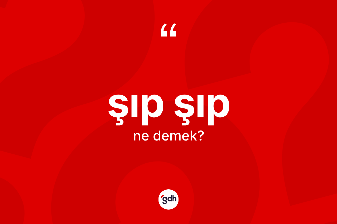 Şıp şıp kelimesinin tanımı nedir? Şıp şıbın TDK'ya göre anlamı nedir?
