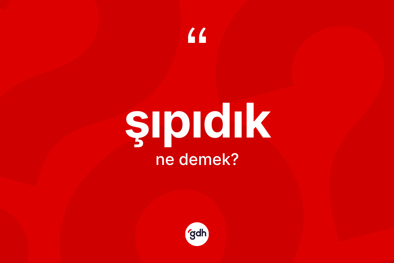 Şıpıdık kelimesi ne anlama gelir? Şıpıdığın halk arasındaki kullanımı nasıldır?