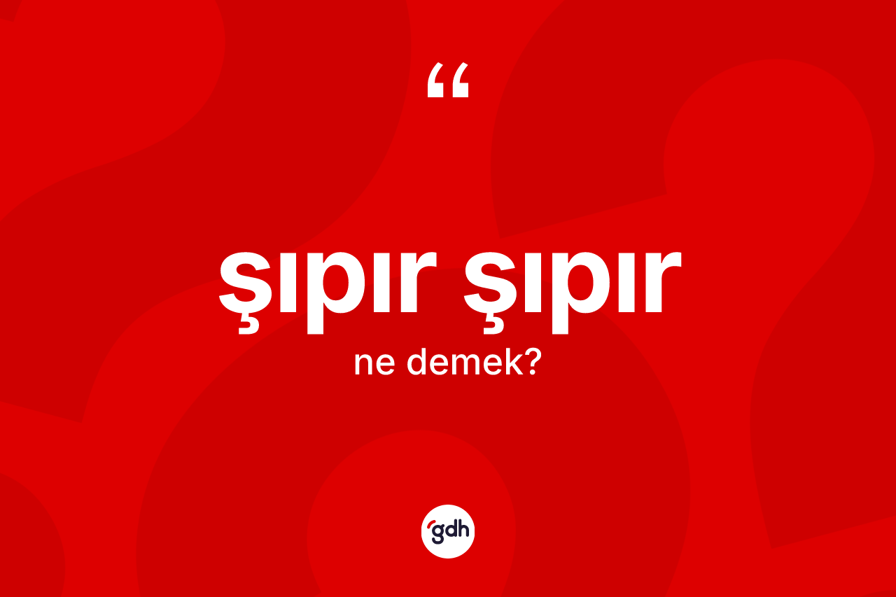 Şıpır şıpır kelimesinin sözlükteki tanımı nedir? Şıpır şıpırın TDK'ya göre anlamı nedir?