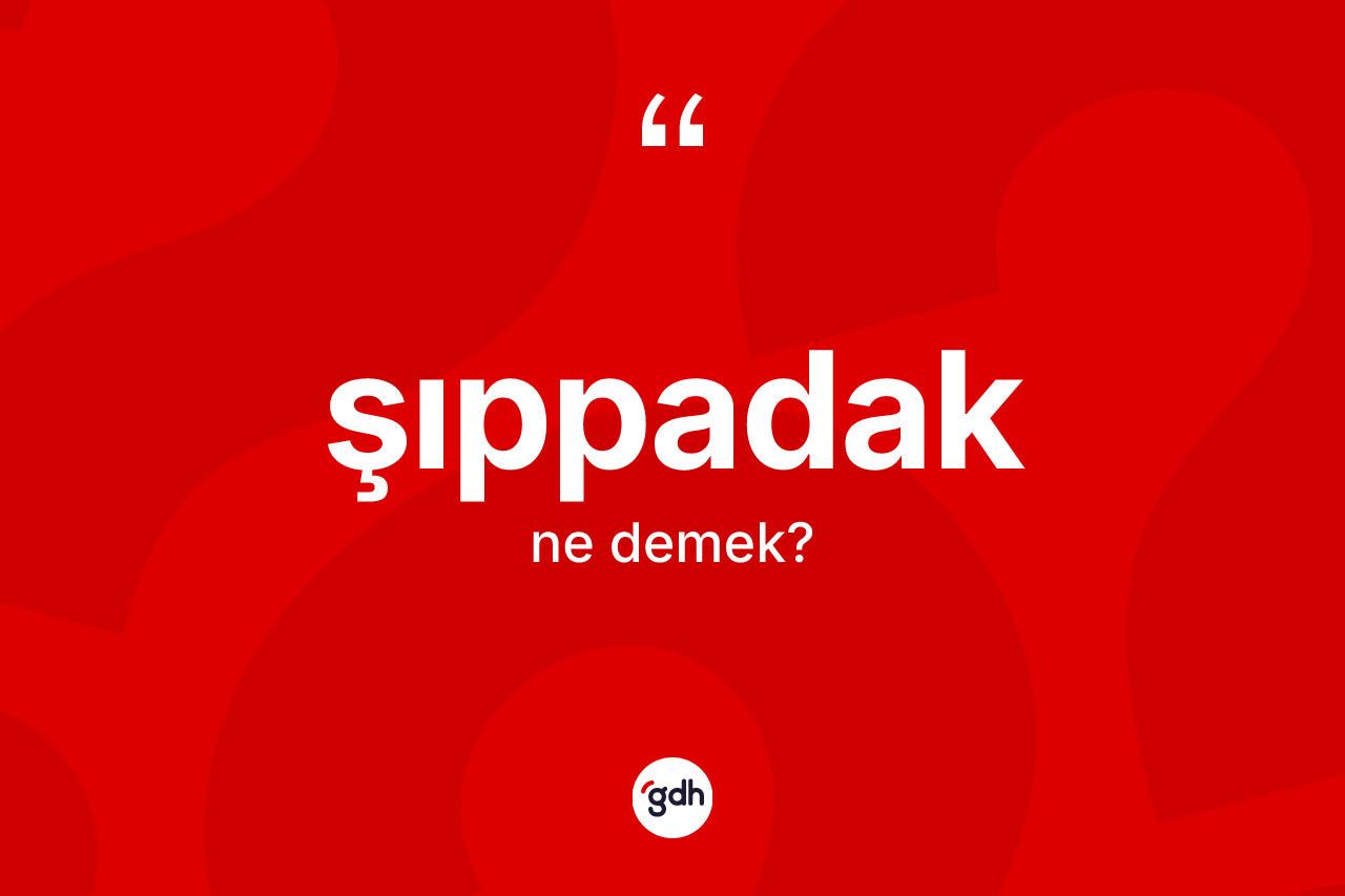 Şıppadak kelimesi ne anlama gelir? Şıppadak kelimesinin özellikleri nelerdir?