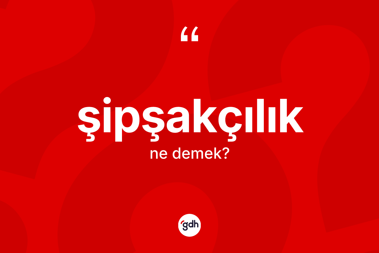 Şipşakçılık kelimesinin sözlükteki tanımı nedir? Şipşakçılığın TDK'ya göre anlamı nedir?