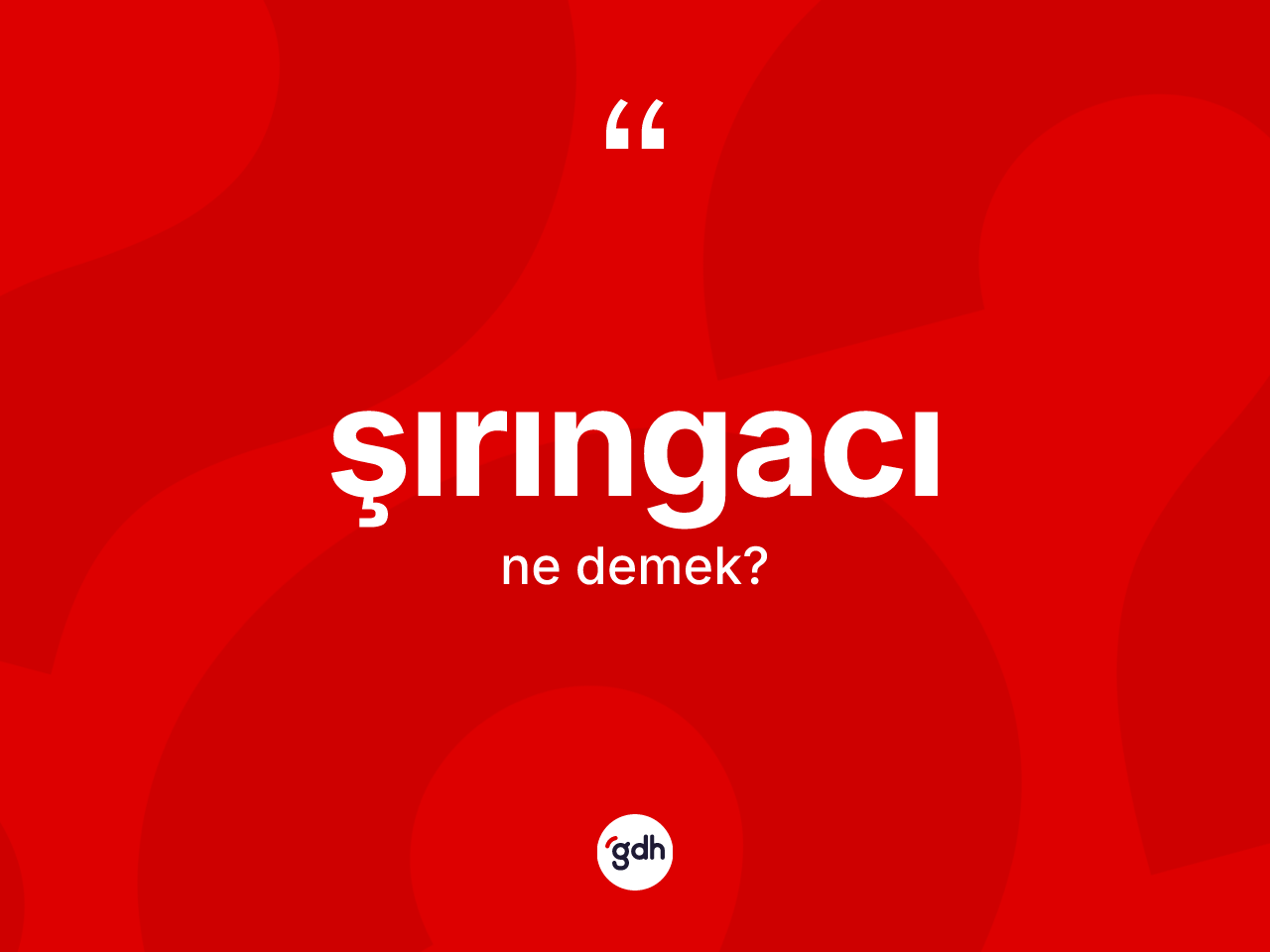 Şırıngacı ne anlama gelir? Şırıngacının kısaca tanımı nedir?