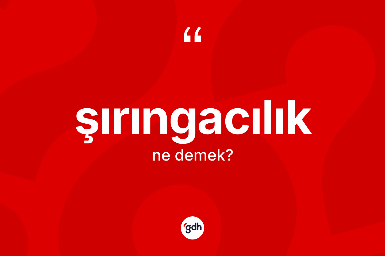 Şırıngacılık kelimesi ne anlama gelir? Şırıngacılık kelimesinin TDK anlamı nedir?