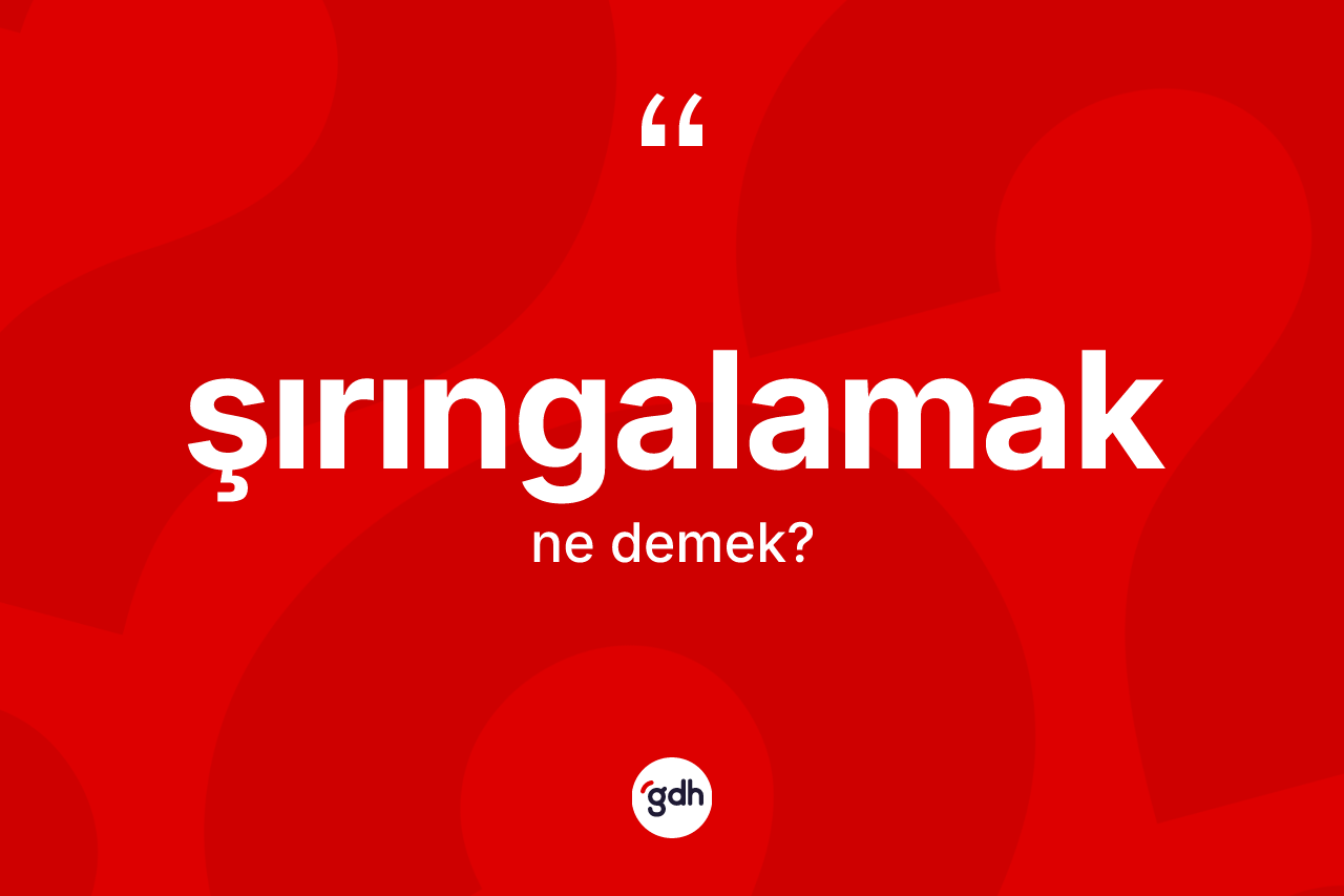 Şırıngalamak kelimesinin anlamı nedir? Şırıngalamağın TDK'ya göre anlamı nedir?