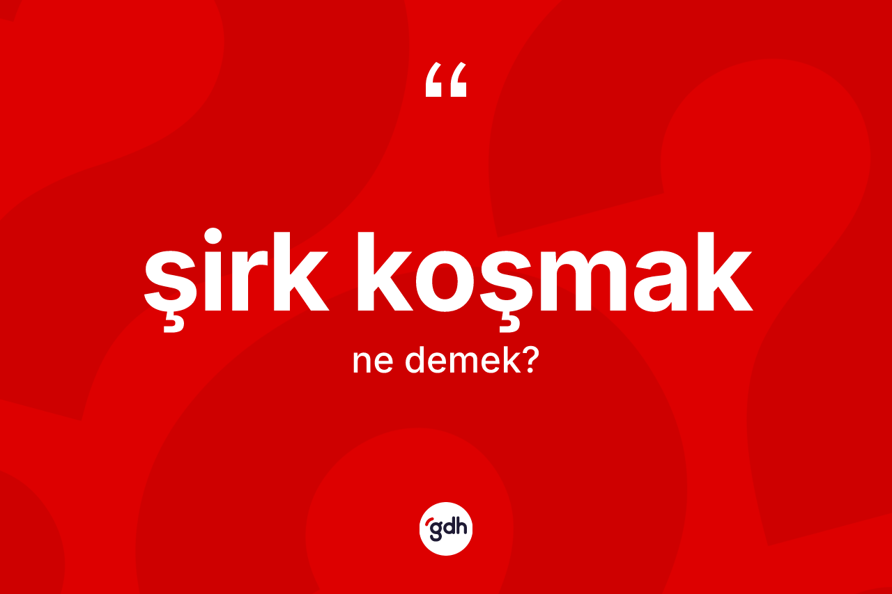 Şirk koşmak sözü ne demektir? Şirk koşmak ifadesinin TDK'ya göre açıklaması nedir?