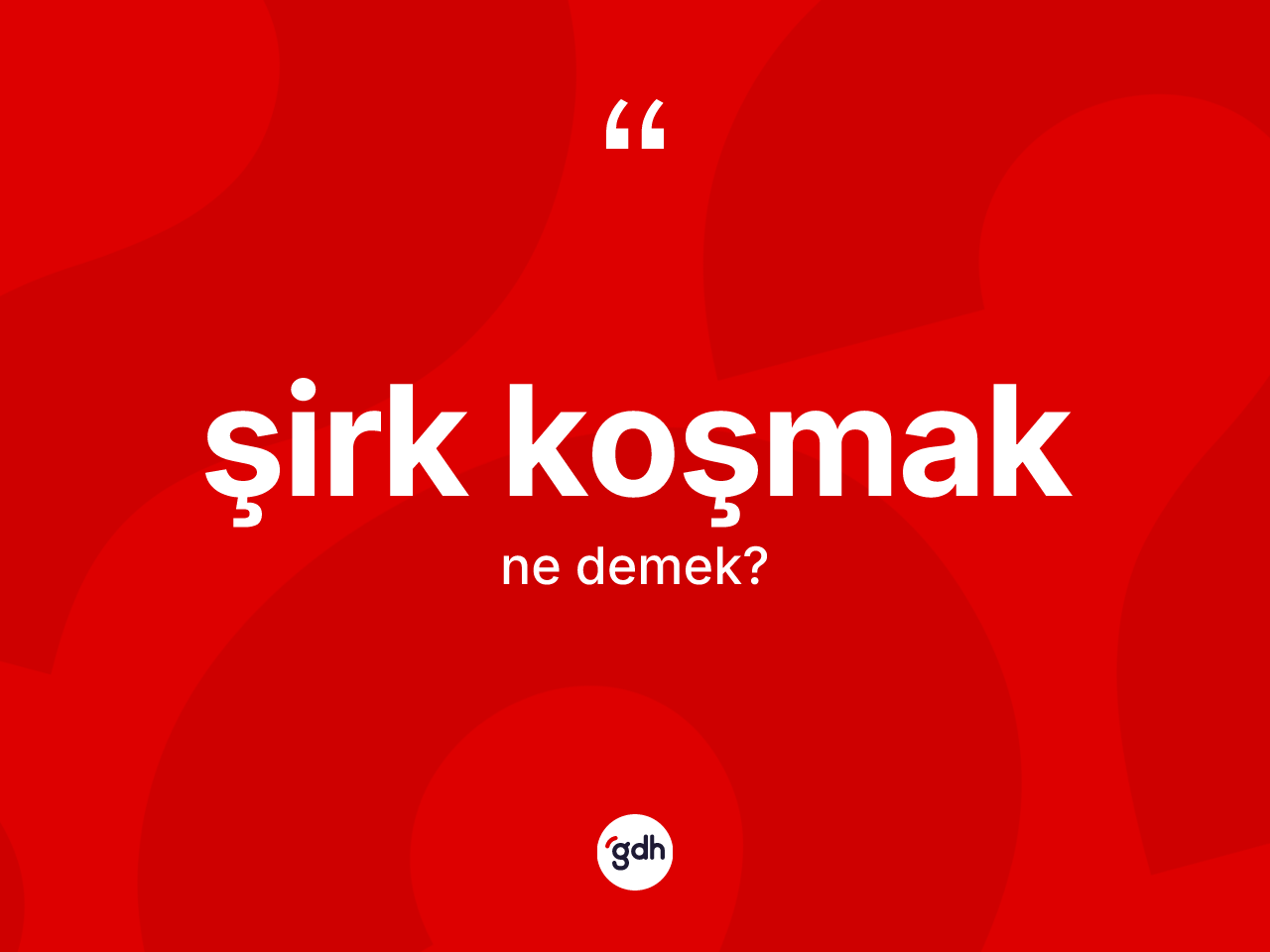 Şirk koşmak sözü ne demektir? Şirk koşmak ifadesinin TDK'ya göre açıklaması nedir?