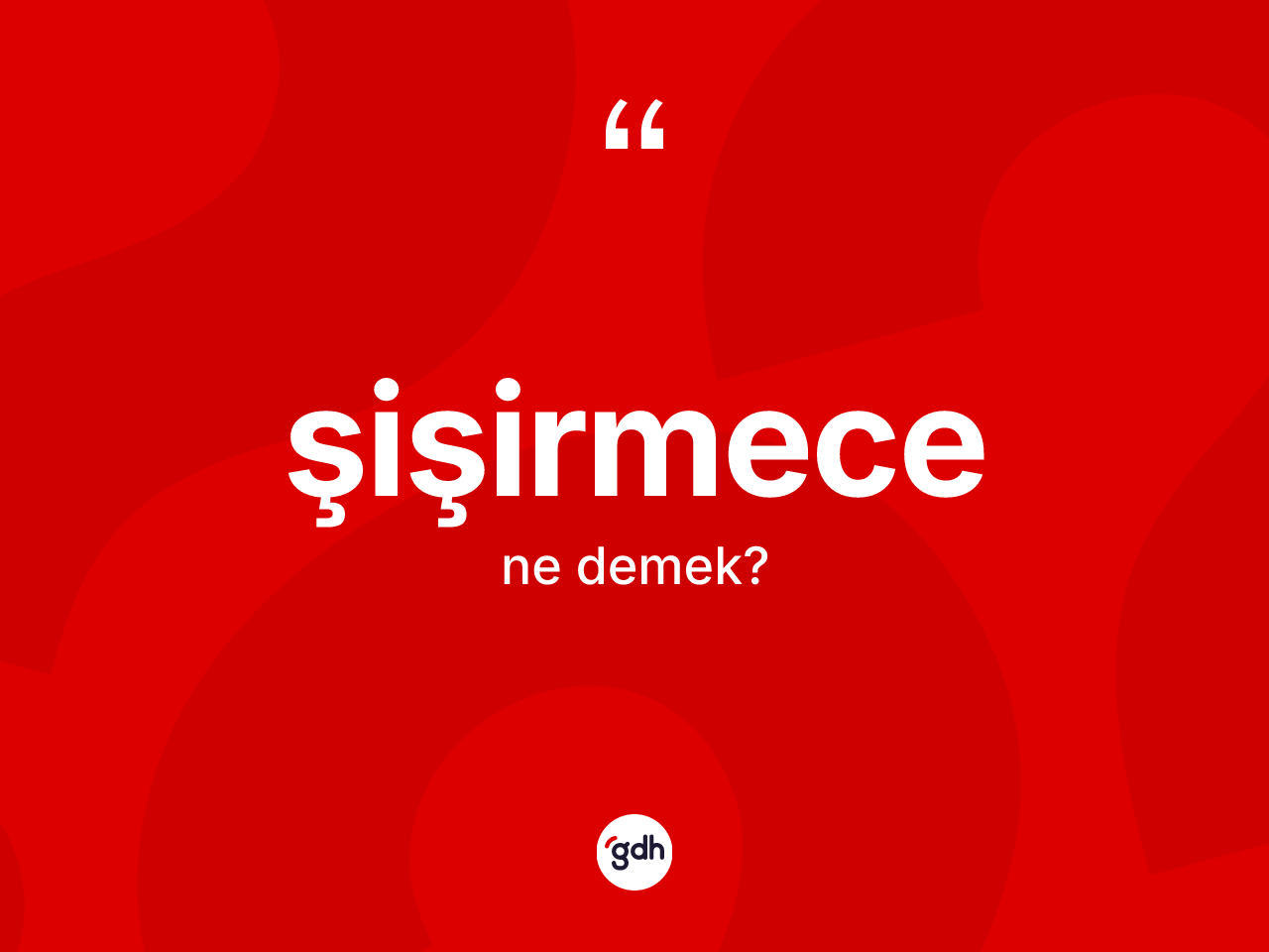 Şişirmece kelimesinin tanımı nedir? Şişirmecenin kısaca tanımı nedir?