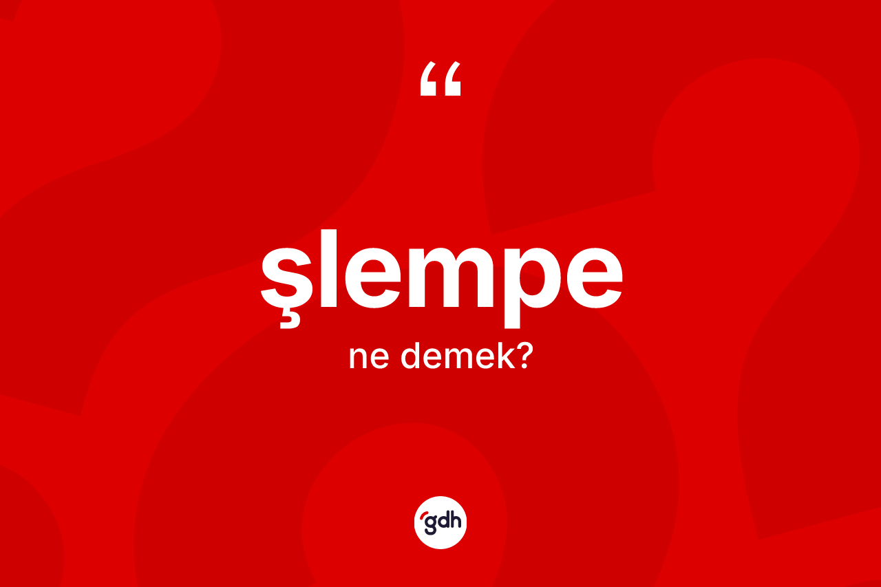 Şlempe ne anlama gelir? Şlempe kelimesinin TDK anlamı nedir?