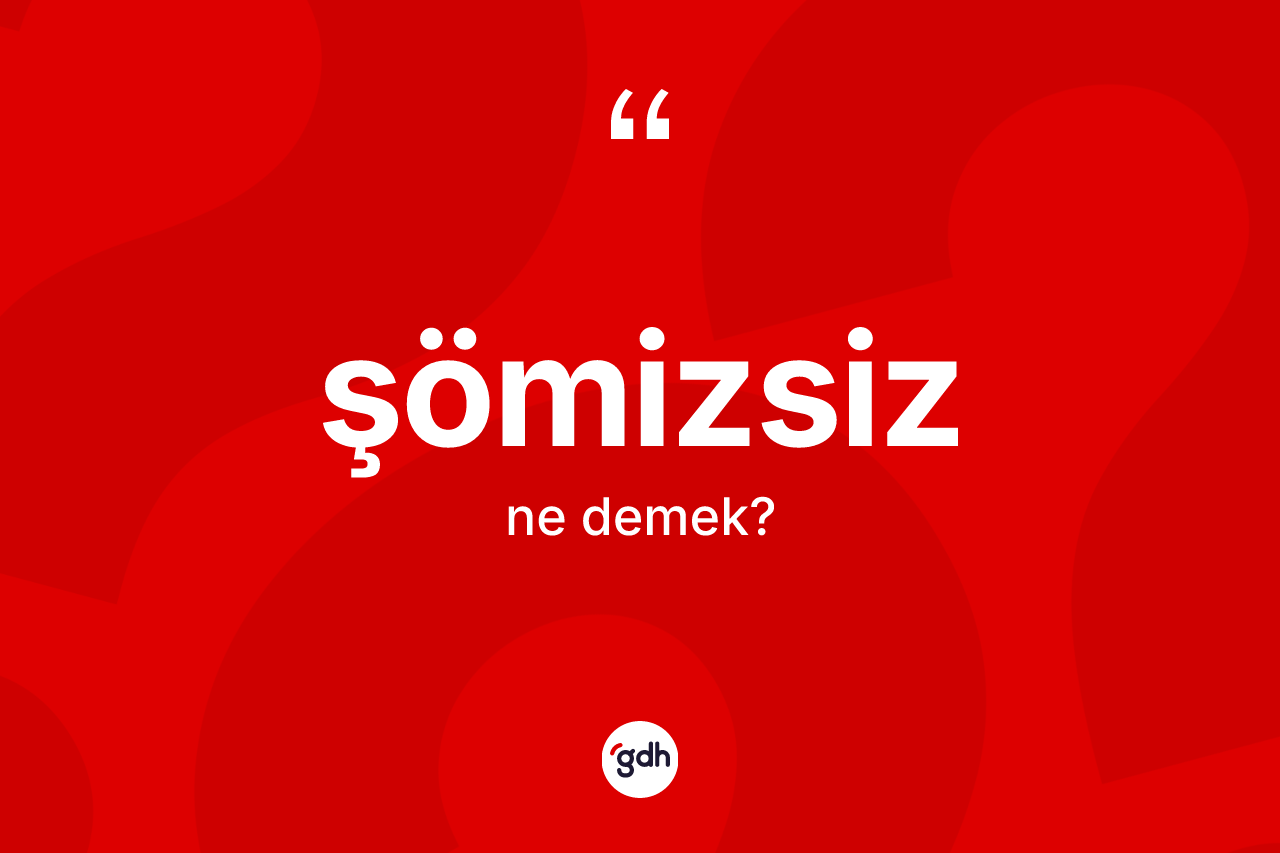 Şömizsiz kelimesinin tanımı nedir? Şömizsizin sözlükteki anlamı nedir?