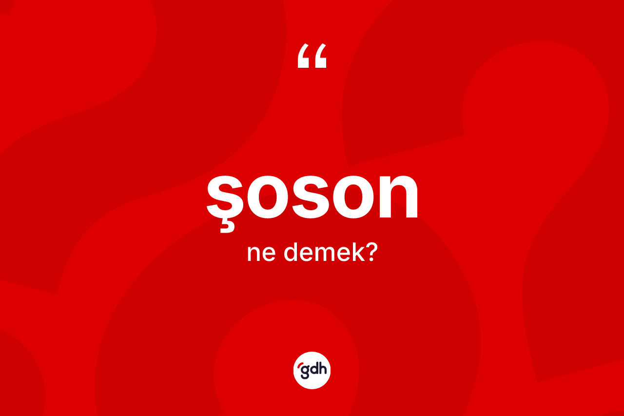 Şoson kelimesinin tanımı nedir? Şoson kelimesinin TDK anlamı nedir?