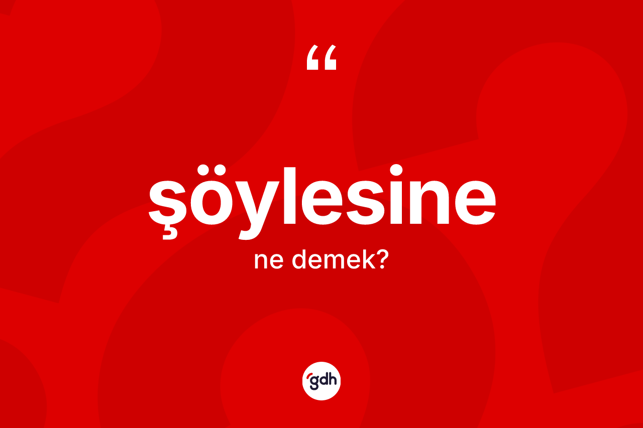 Şöylesine kelimesinin anlamı nedir? Şöylesine kelimesinin özellikleri nelerdir?