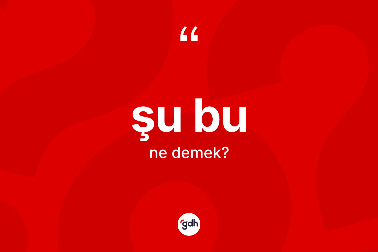 Şu bu kelimesi nedir? Şu bunun TDK'ya göre anlamı nedir?