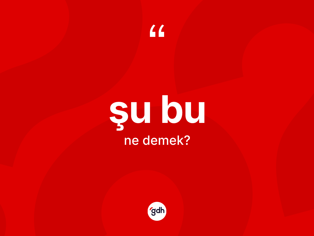 Şu bu kelimesi nedir? Şu bunun TDK'ya göre anlamı nedir?