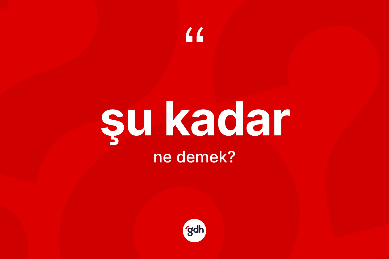 Şu kadar ifadesinin anlamı nedir? Şu kadar sözü hangi durumlarda kullanılır?