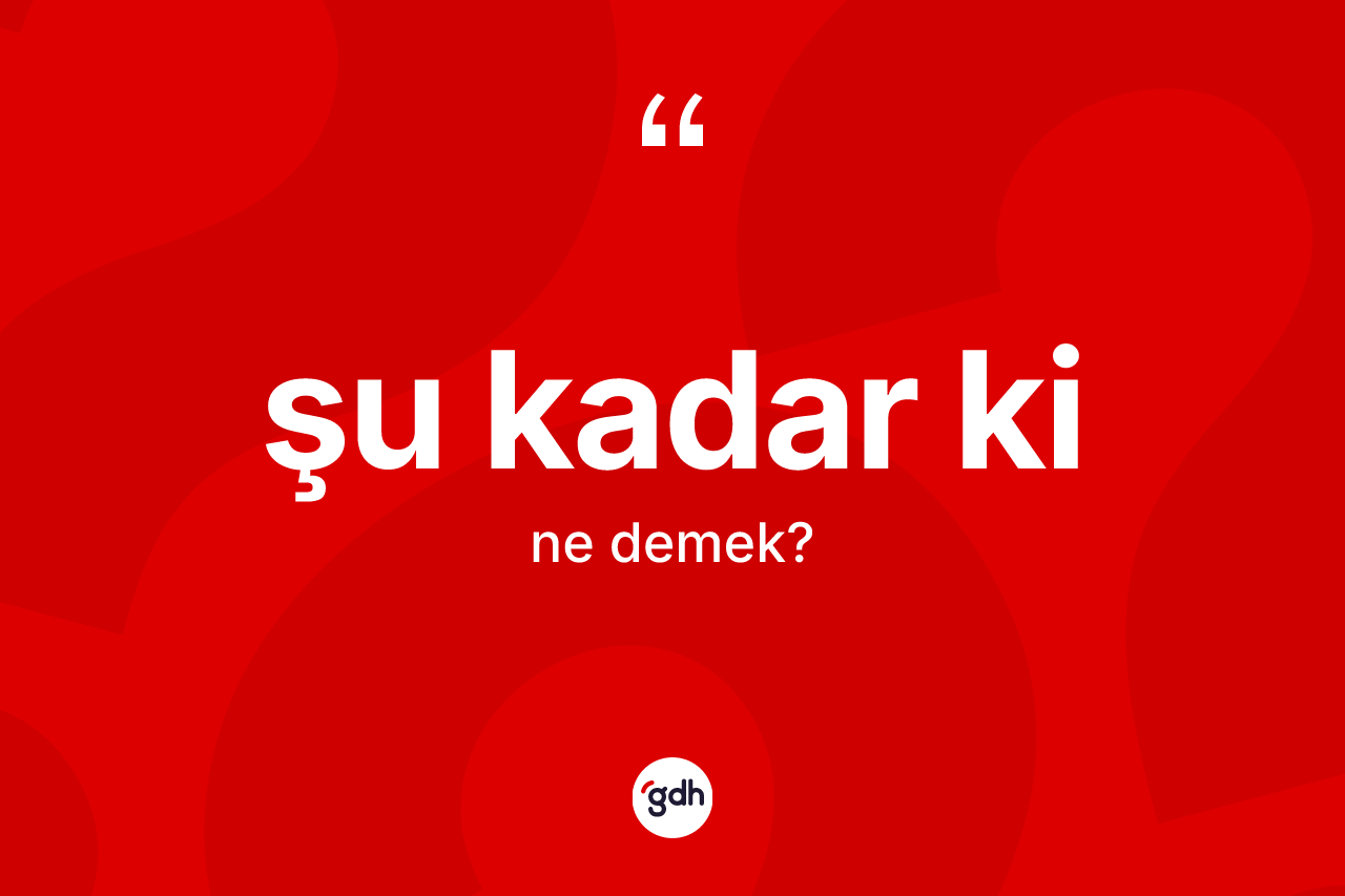 Şu kadar ki ne demektir? Şu kadar ki ifadesi hangi durumlarda kullanılır?