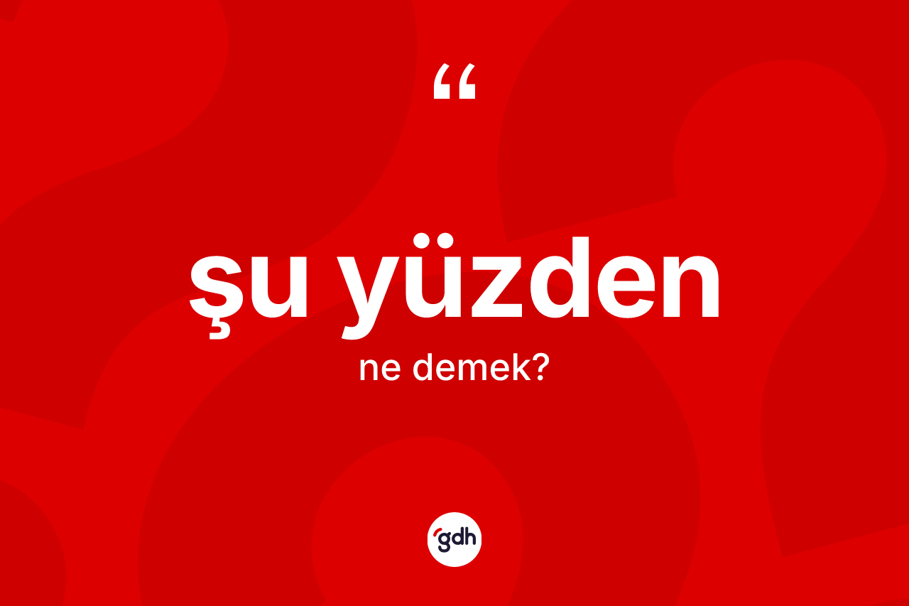 Şu yüzden ne anlama gelir? Şu yüzdenin sözlükteki anlamı nedir?
