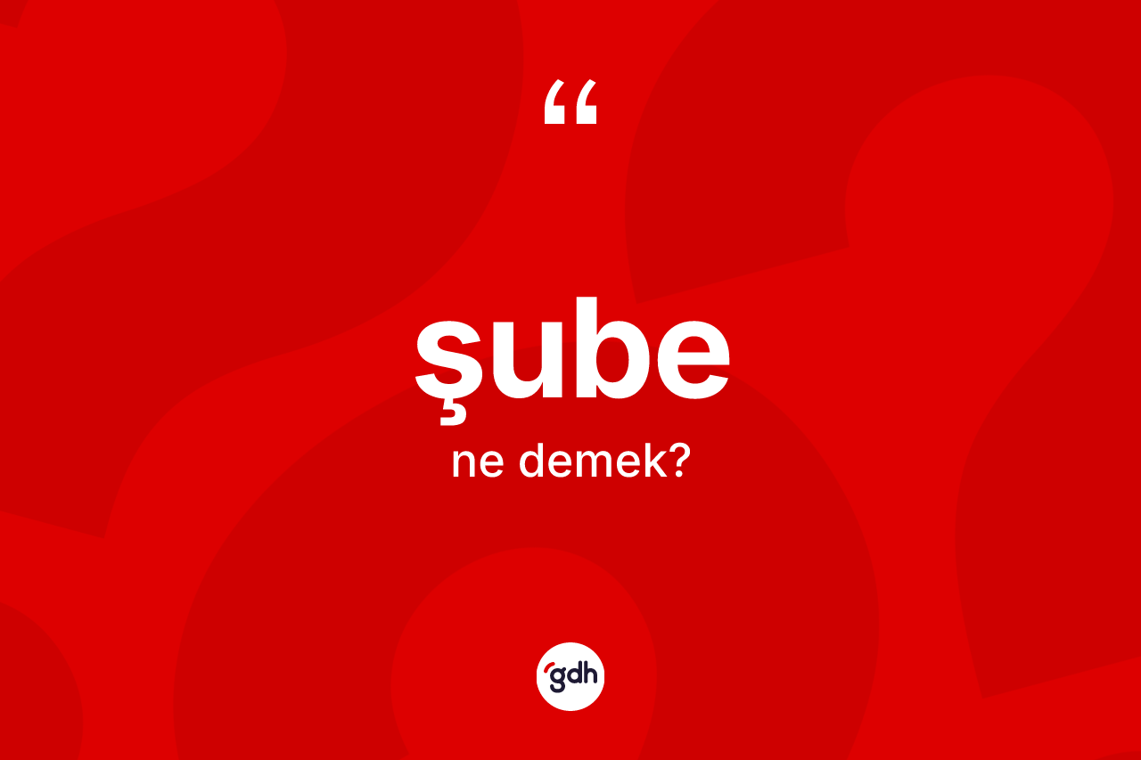 Şube kelimesinin sözlükteki tanımı nedir? Şube kelimesinin özellikleri nelerdir?