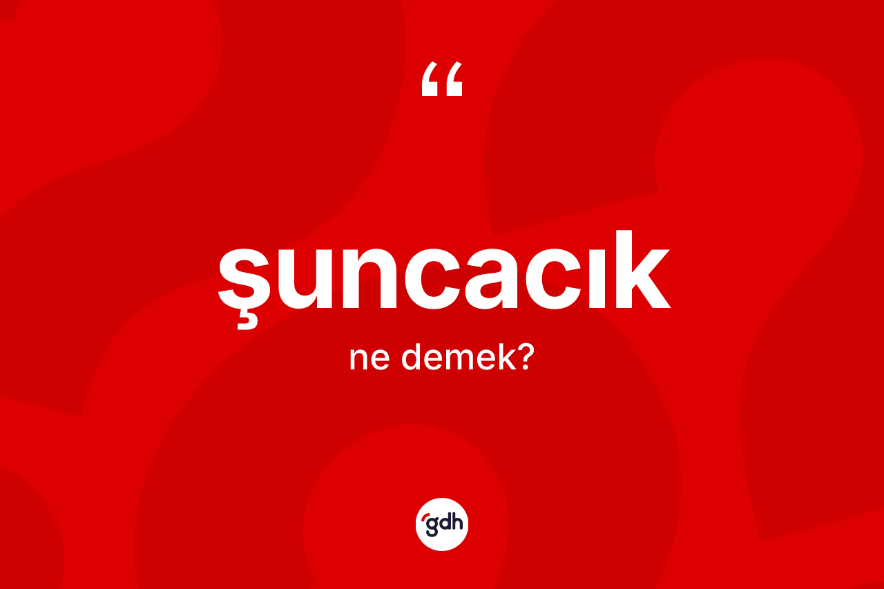 Şuncacık kelimesi ne anlama gelir? Şuncacık kelimesinin TDK anlamı nedir?