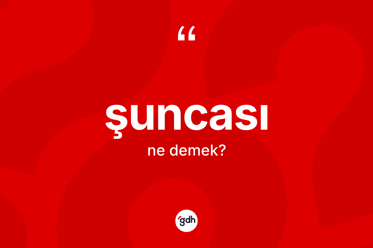 Şuncası kelimesi nedir? Şuncası kelimesinin özellikleri nelerdir?